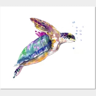 Sea Turtle UNderwater Scene Posters and Art